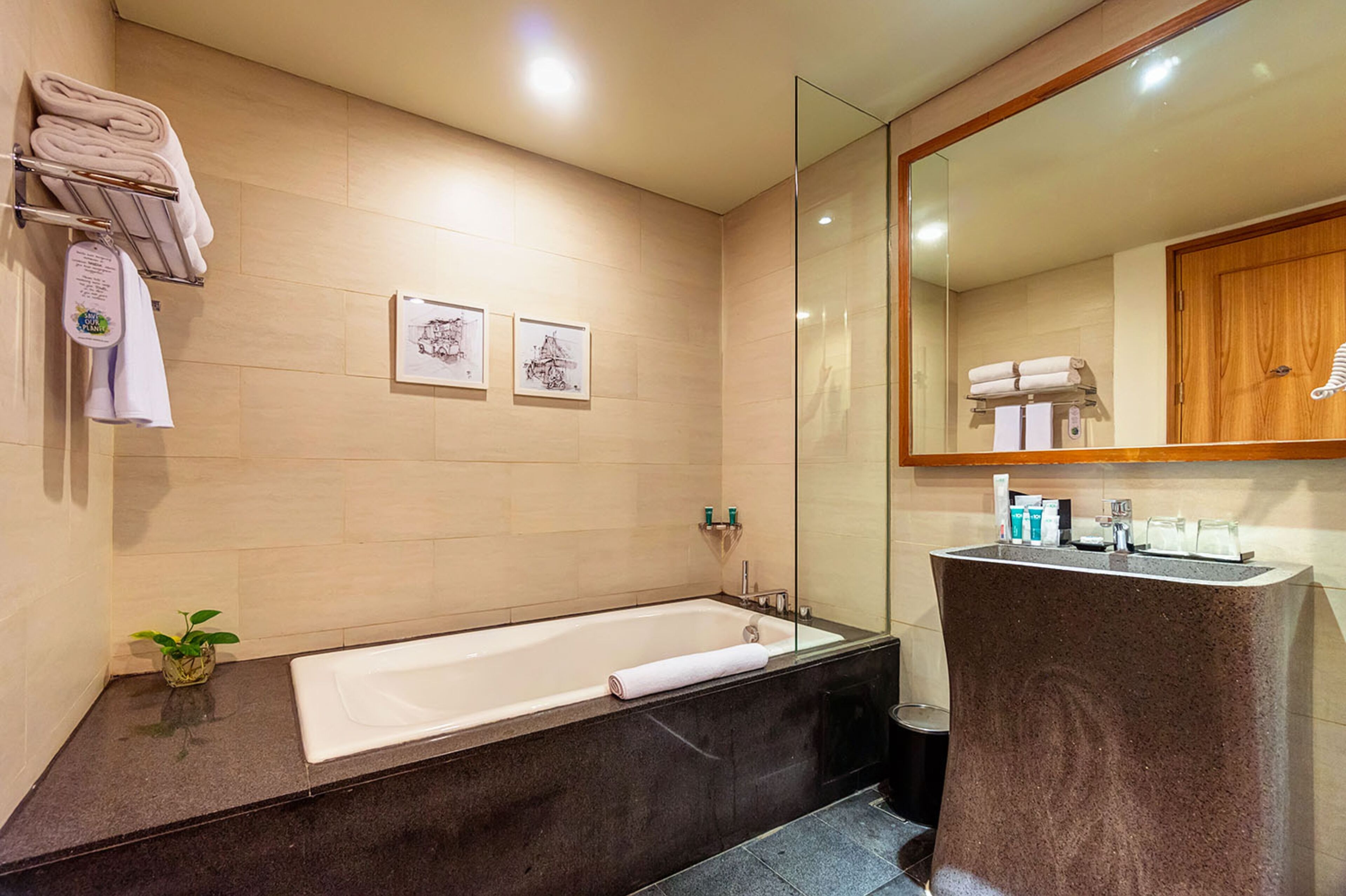 hair dryer, bathrobes, slippers, bidet