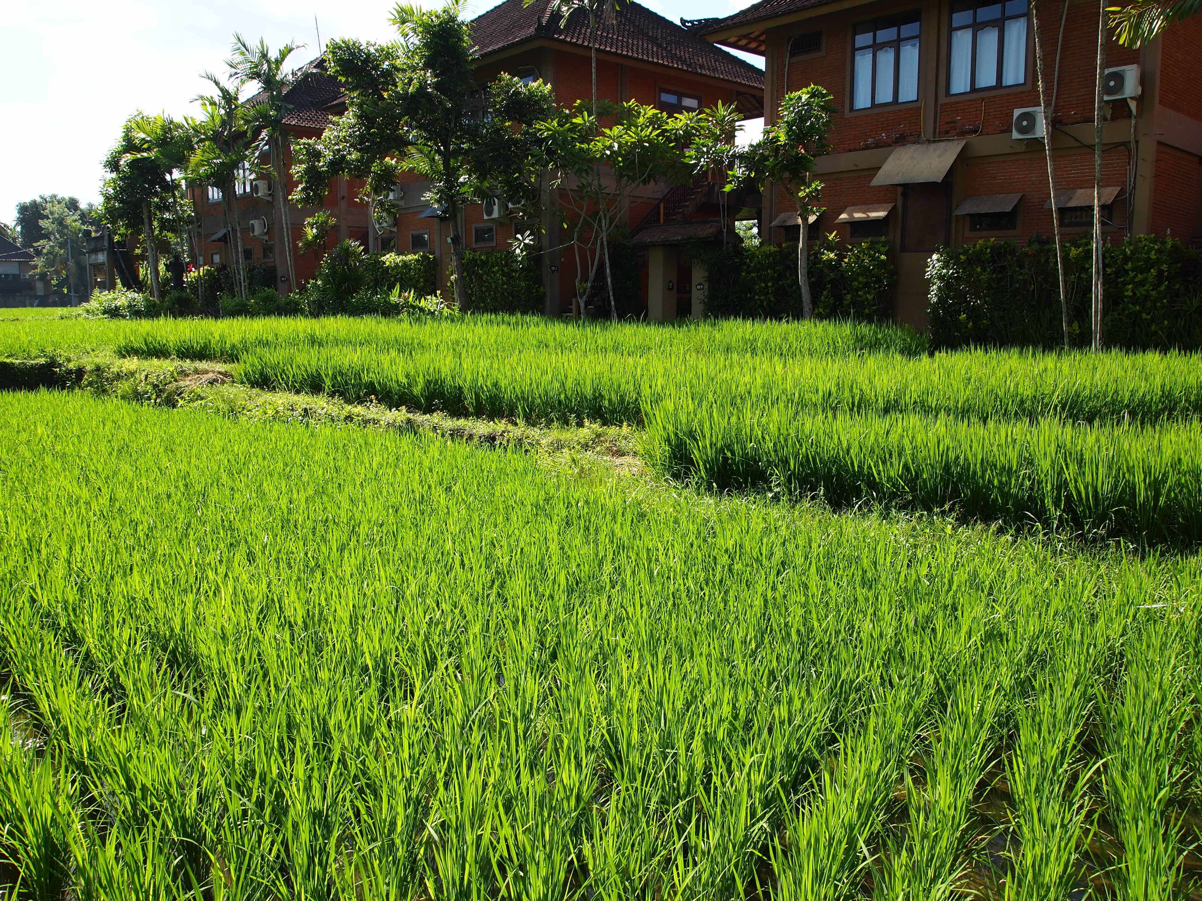 Foto - Saren Indah Hotel