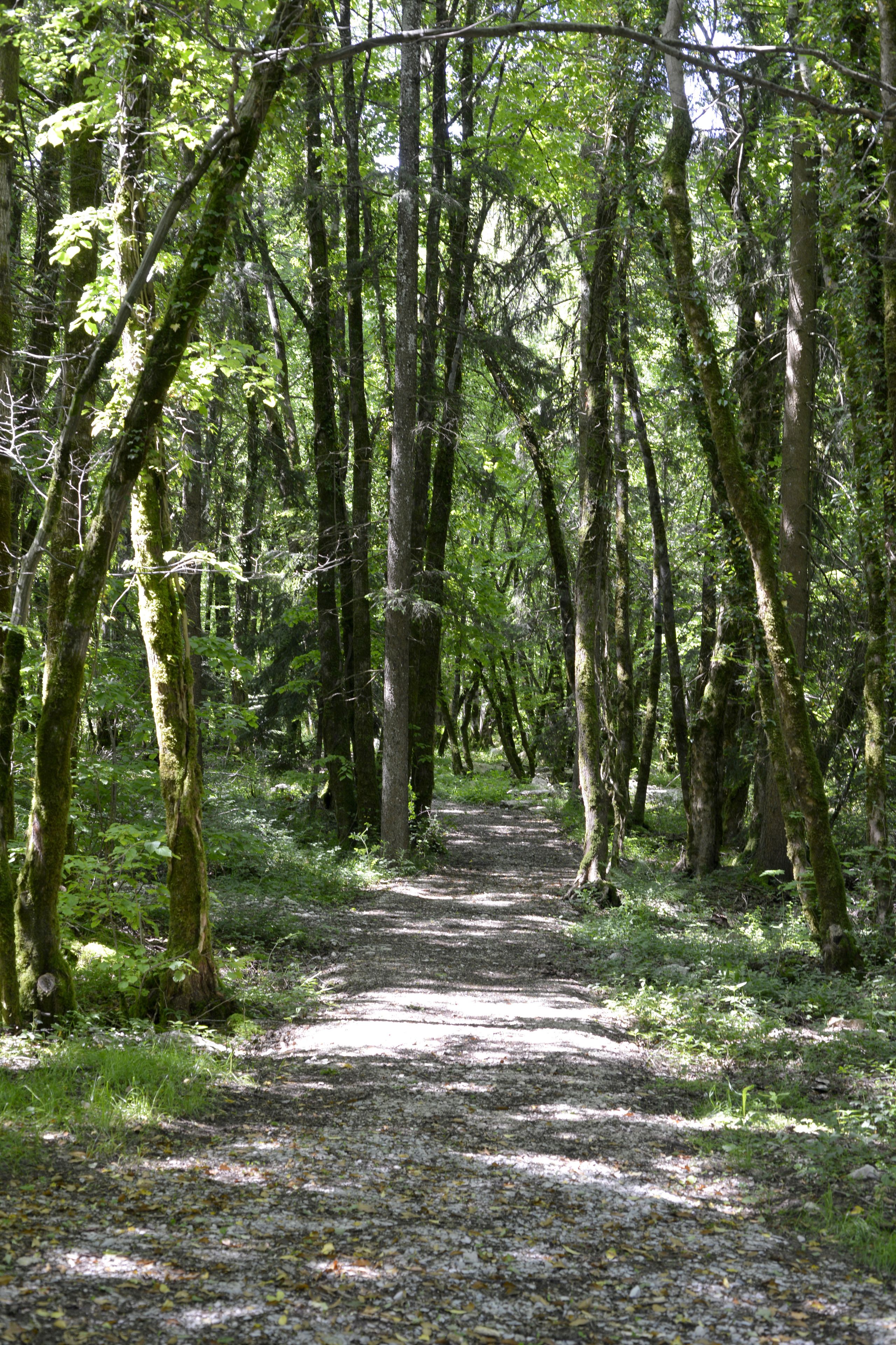 single room | premium bedding, in-room safe, desk, soundproofing