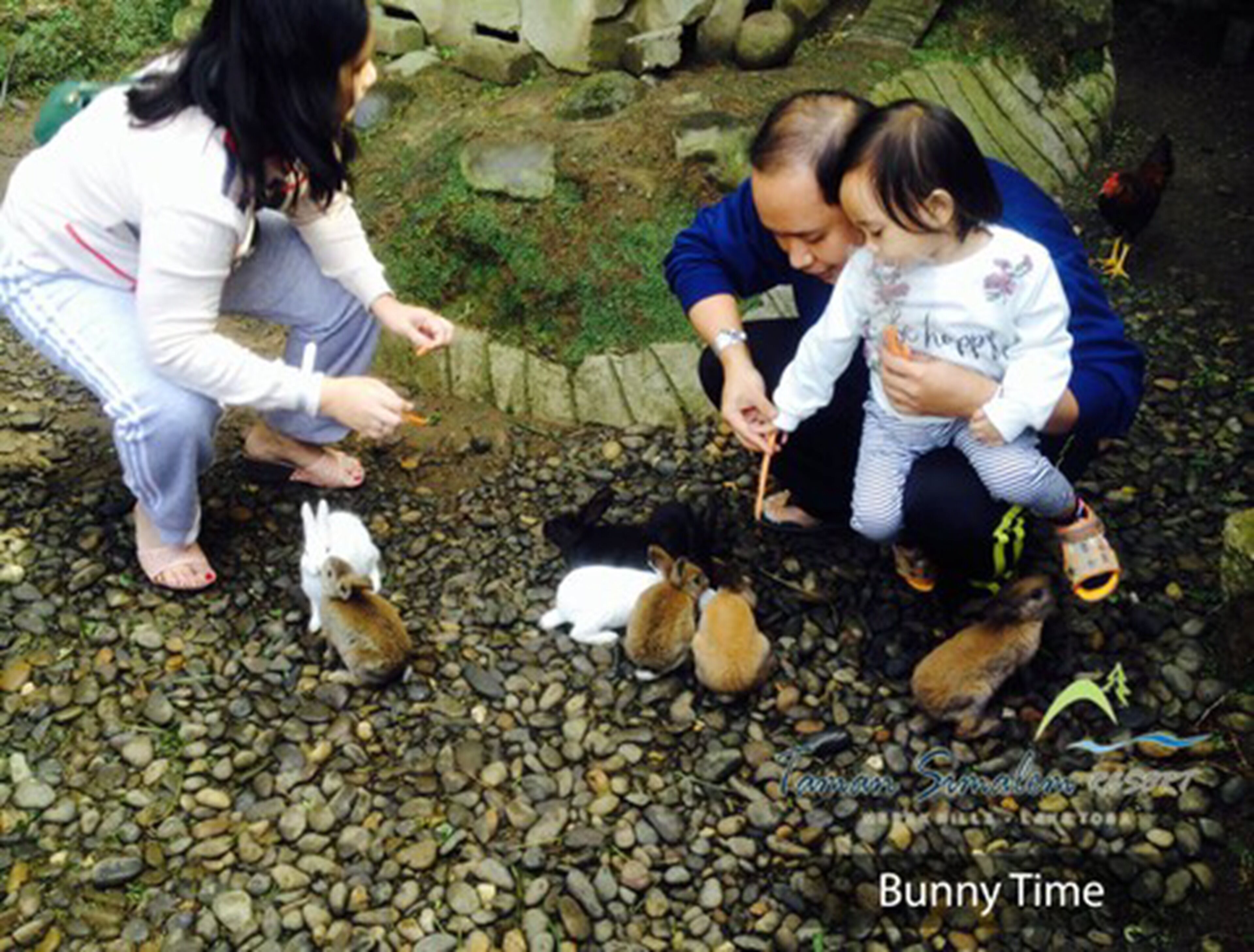 children’s activities