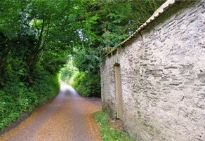 Un camino estrecho y pavimentado bordeado por abundante vegetación y un muro de piedra.