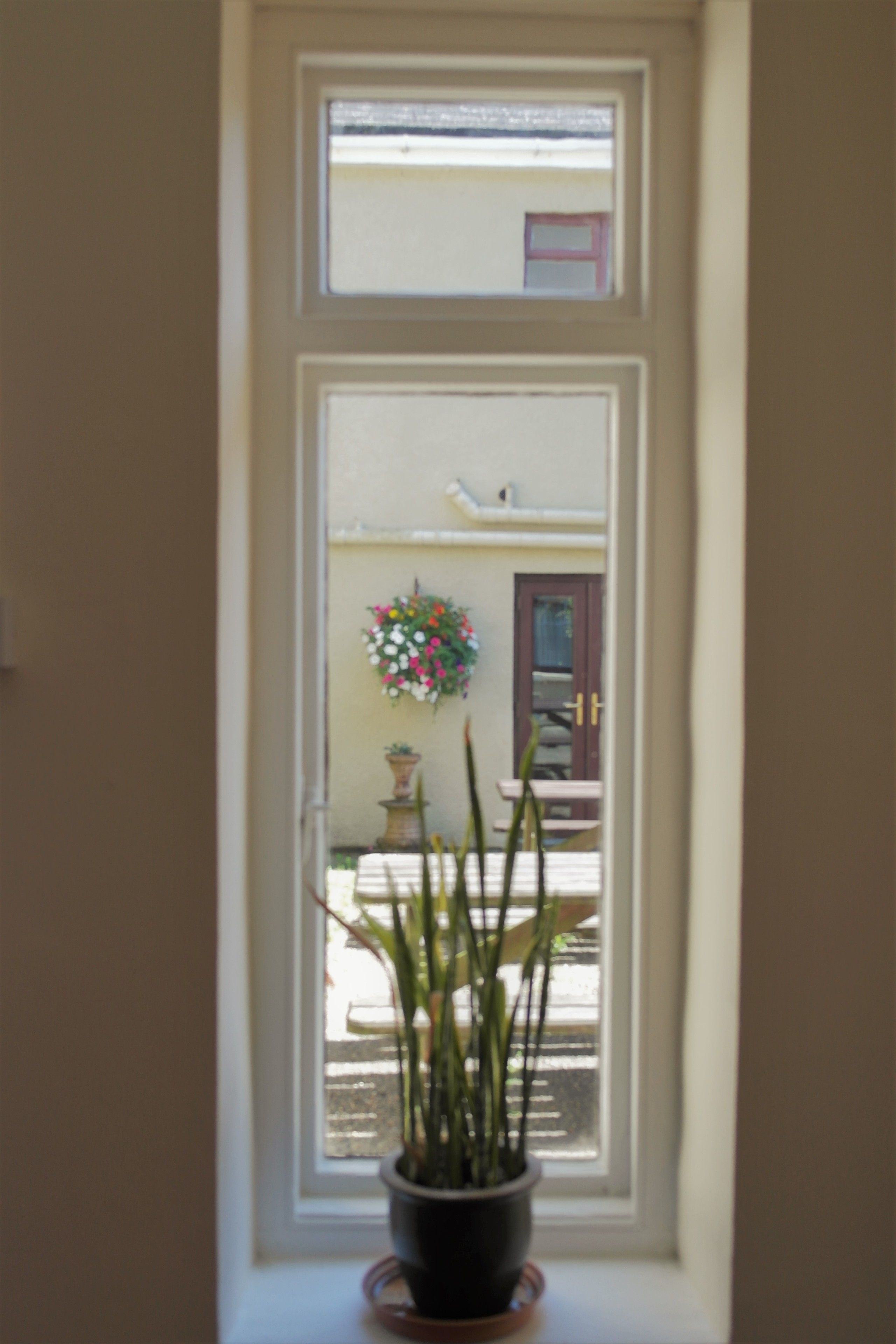 A potted plant on a windowsill with a view of a building exterior.