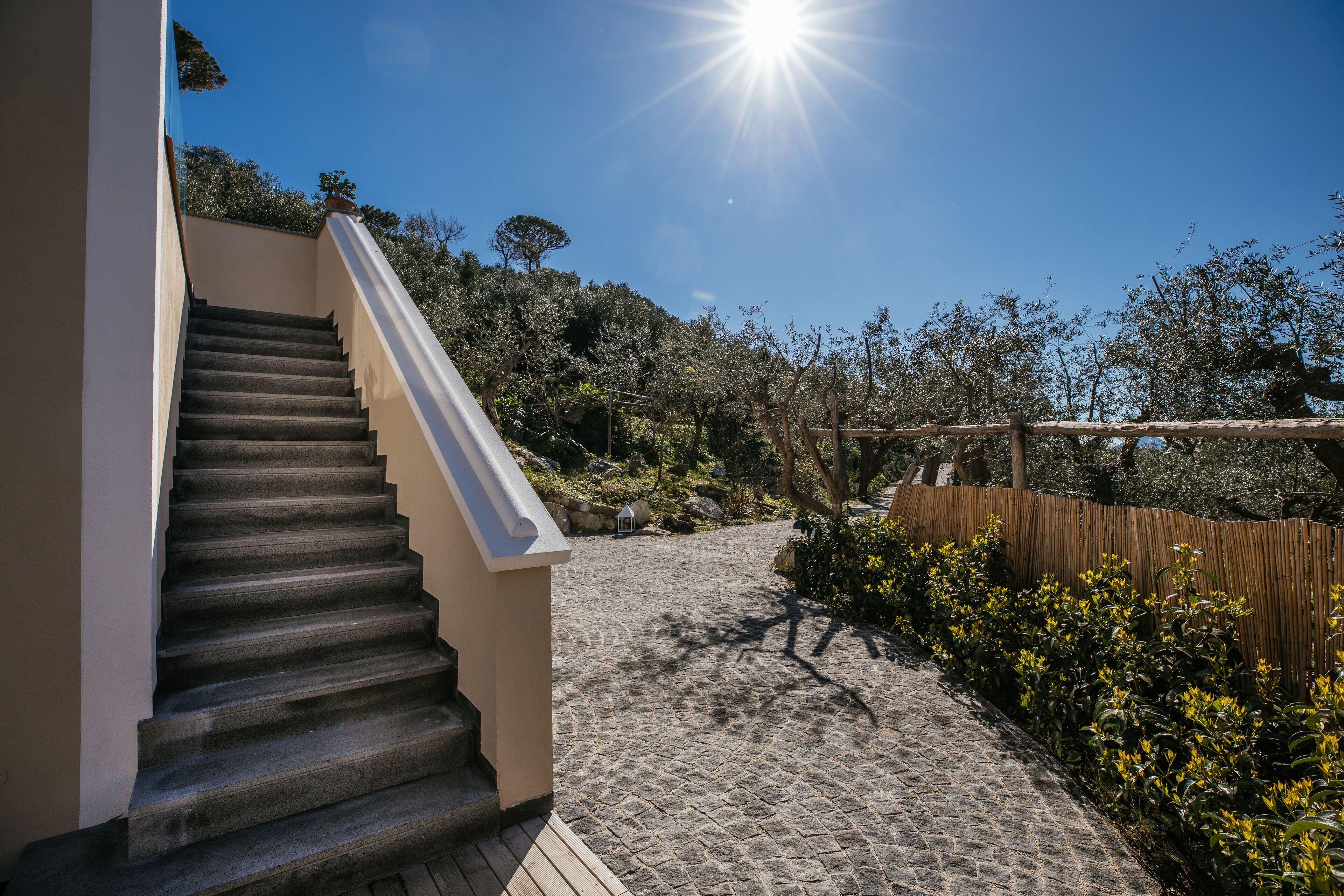 Una escalera que lleva a una terraza de madera con vistas a un jardín ajardinado y árboles.