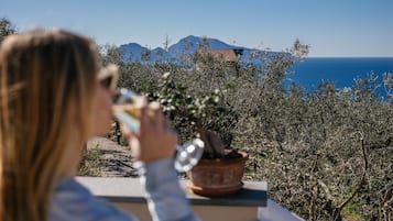 Suite, 1 letto king, vista mare | Terrazza/patio