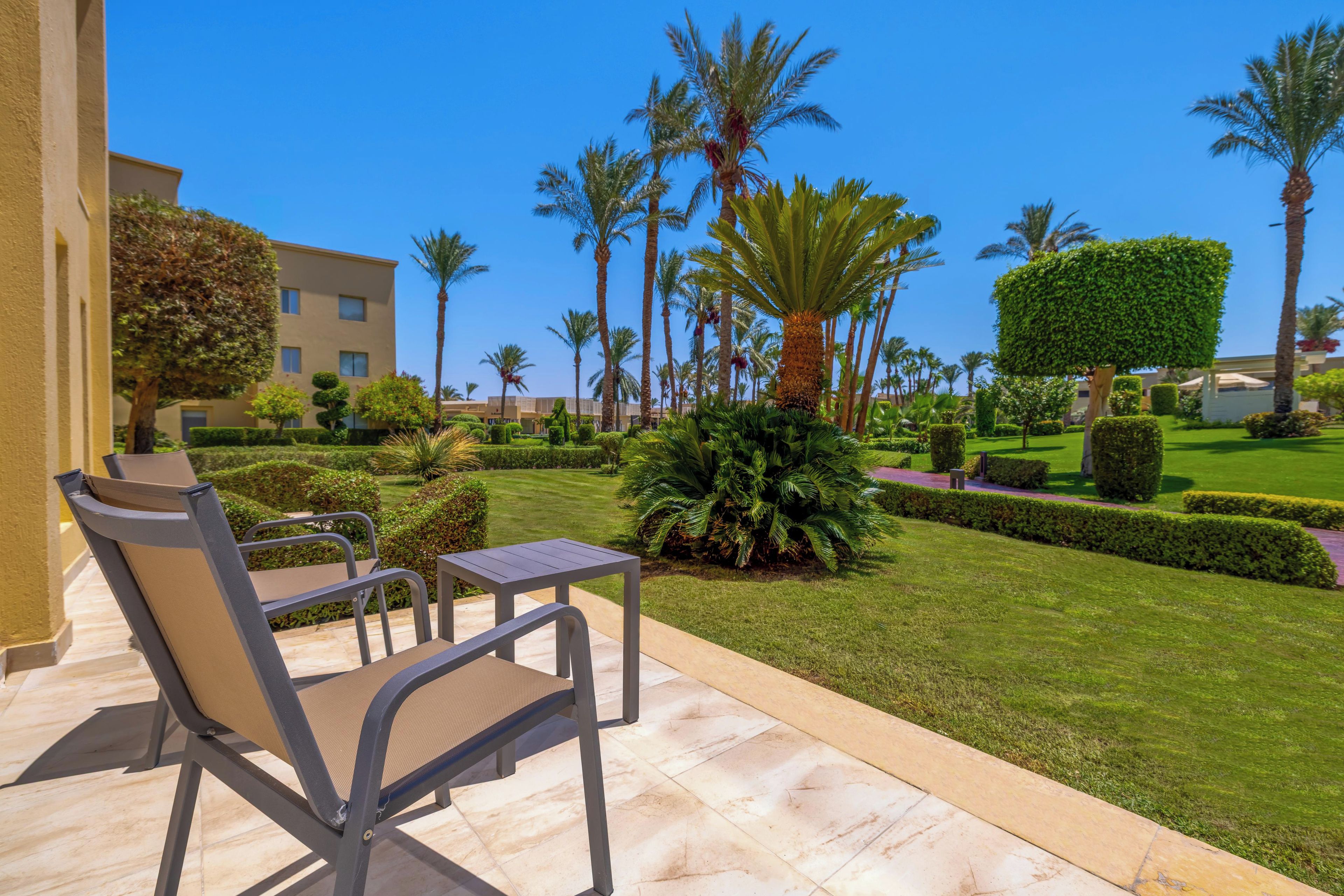 A patio with outdoor furniture, a well-maintained lawn, and palm trees.
