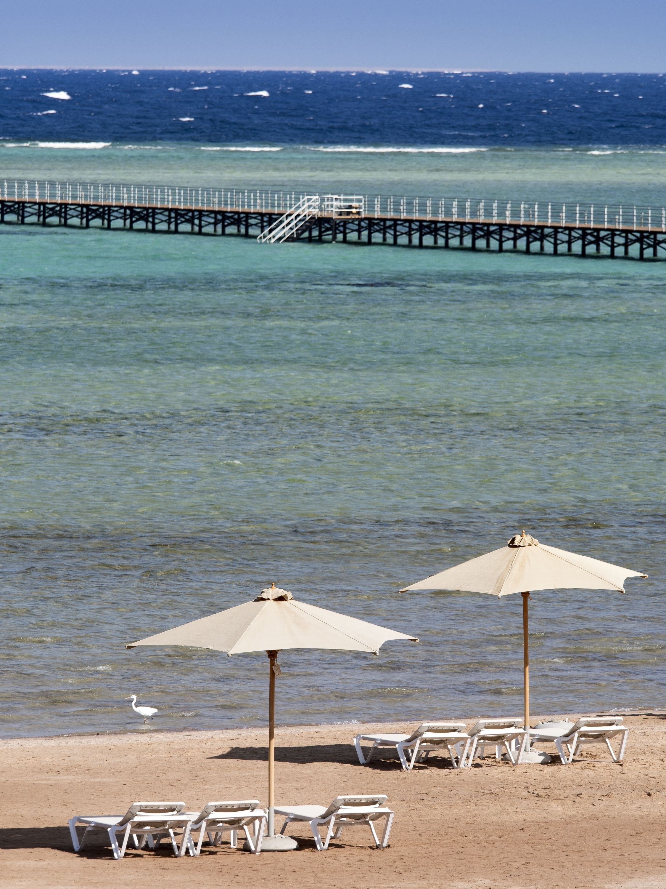 Una playa con sillones blancos y sombrillas, un muelle al fondo y una vista despejada del océano.