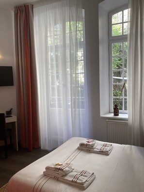 Double Room (Charme) | Desk, soundproofing, iron/ironing board, free cribs/infant beds - Adonis Hotel Strasbourg (Strasbourg)