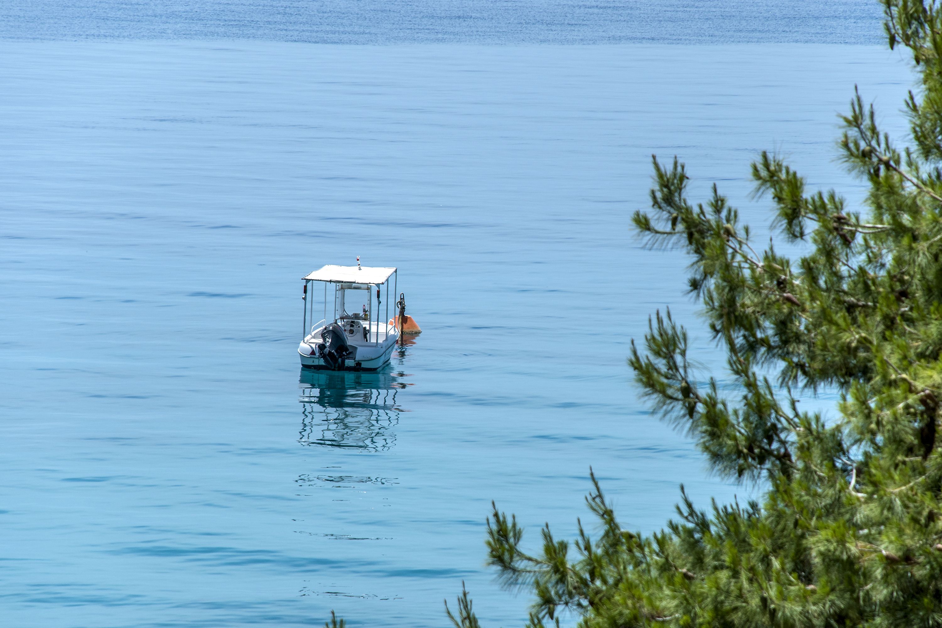 Una piccola imbarcazione su acque calme, con una visuale limpida dell'acqua circostante e alcuni alberi sullo sfondo.