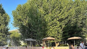 A pool with water jets, surrounded by trees and umbrellas.