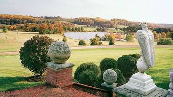 Vineyard view