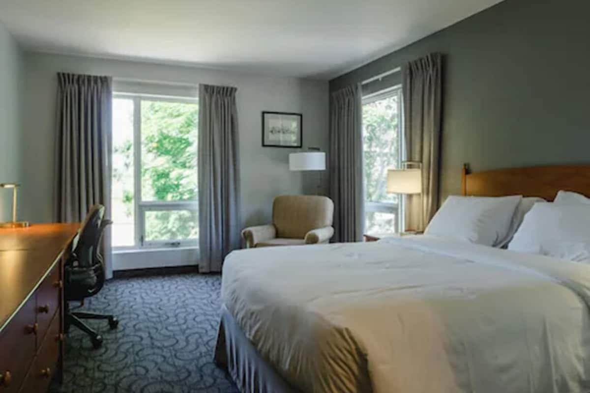 premium bedding, desk, blackout curtains, iron/ironing board