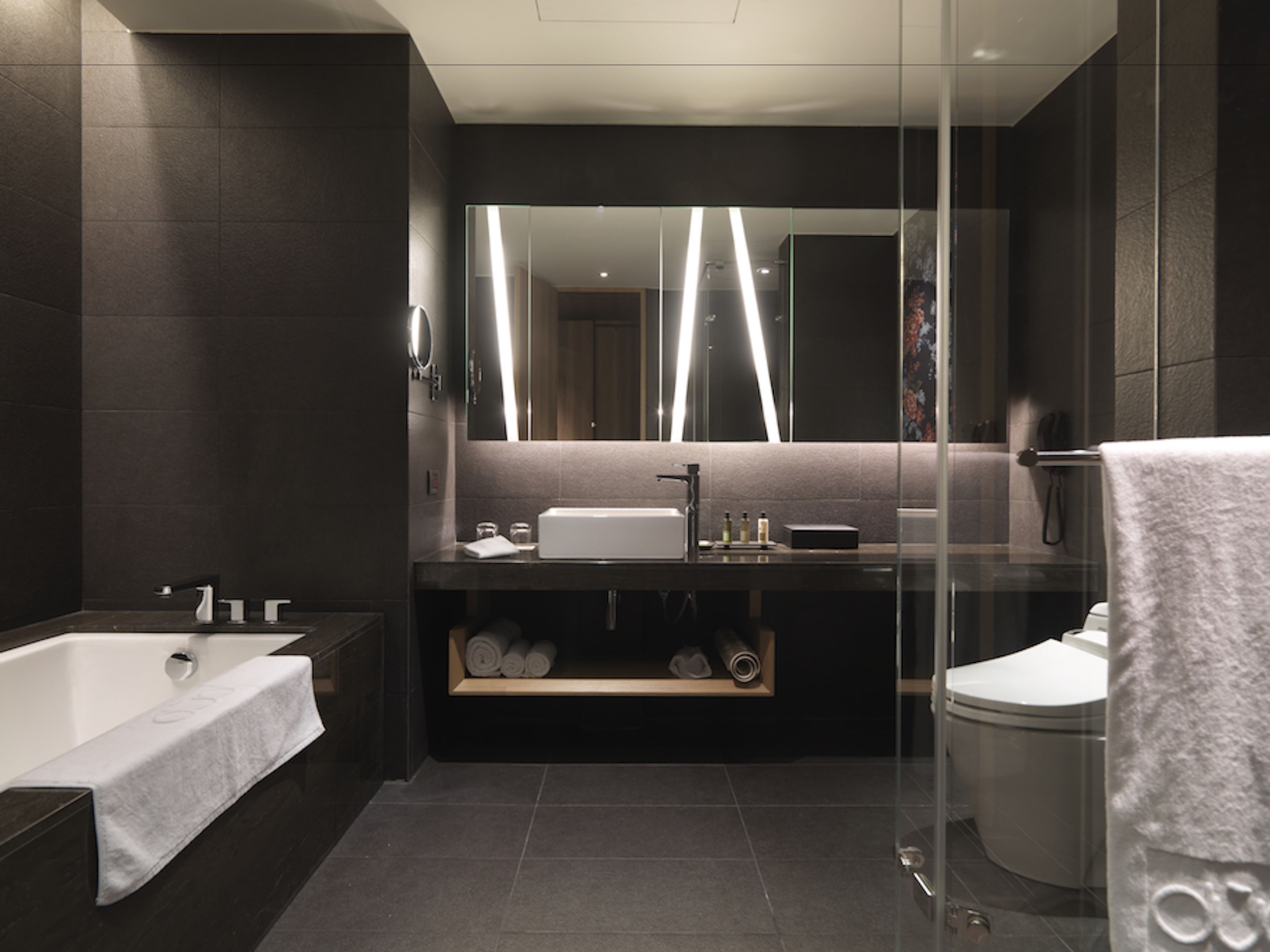 shower, hair dryer, bathrobes, electronic bidet