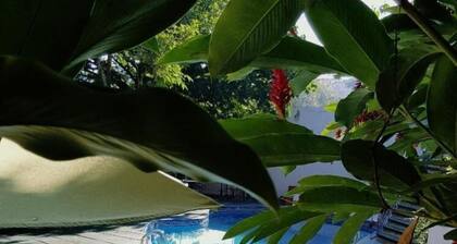 Hotel La Quinta Avenida