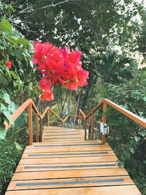 Garden - Los Altos de Eros Boutique Hotel & Spa (Tamarindo)