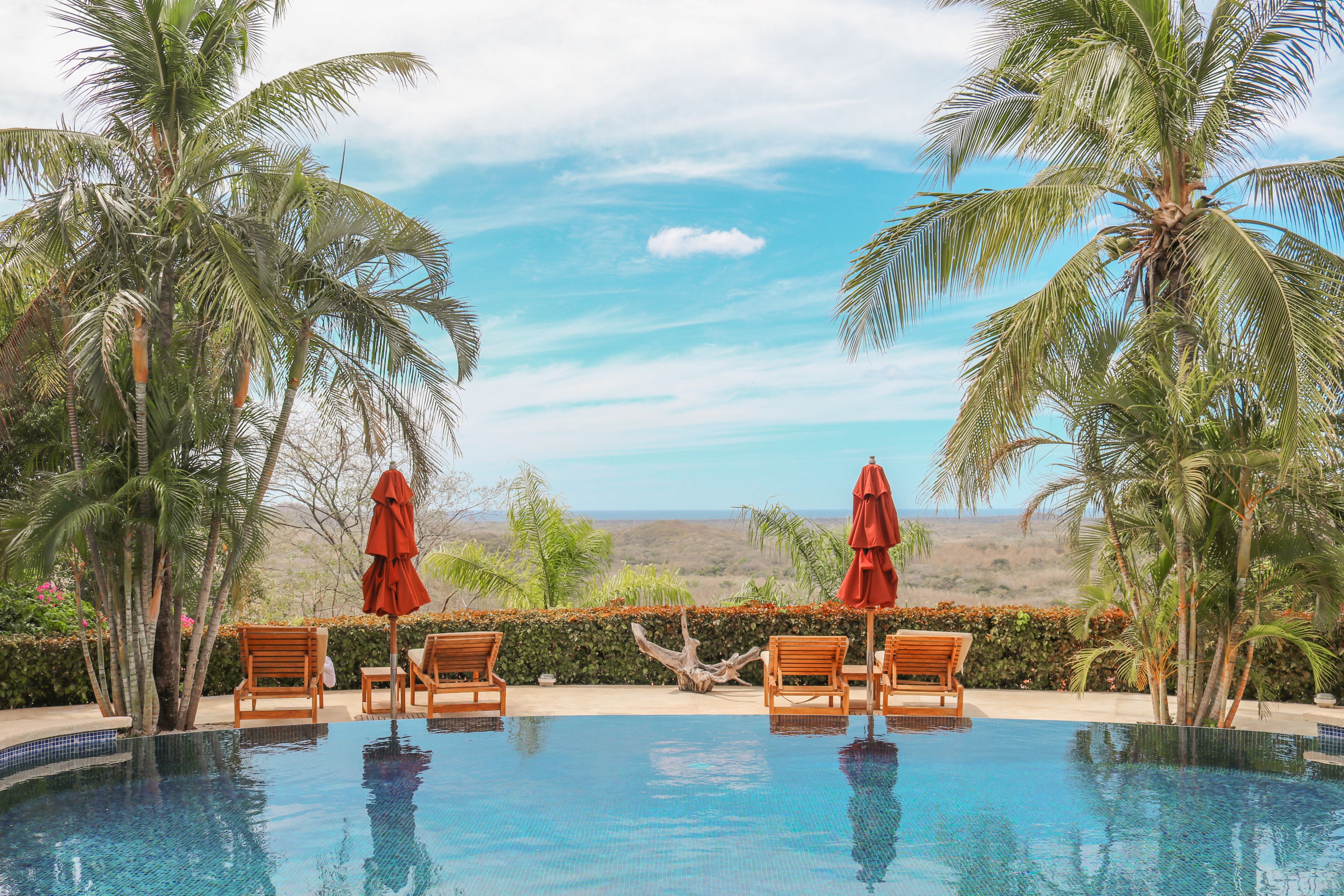 Outdoor pool, pool umbrellas, sun loungers