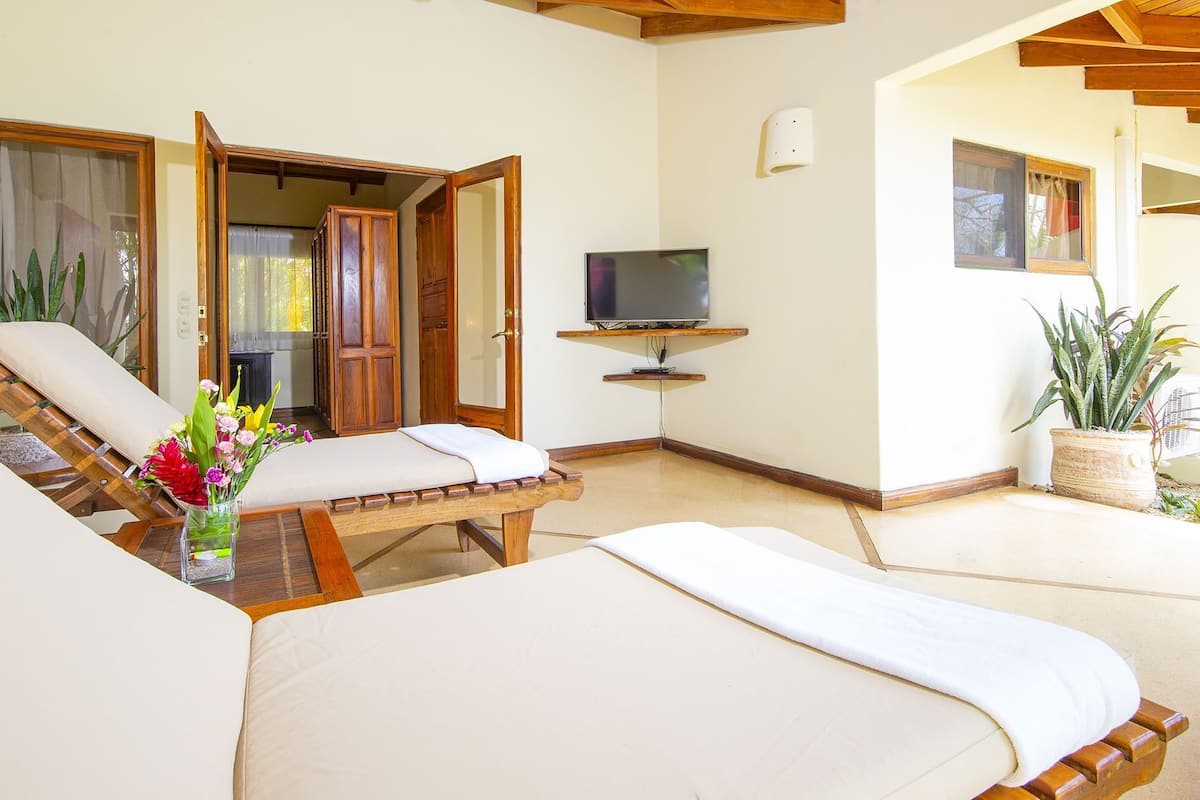 A room with a wooden bed, a wooden chair, a TV, and a potted plant.