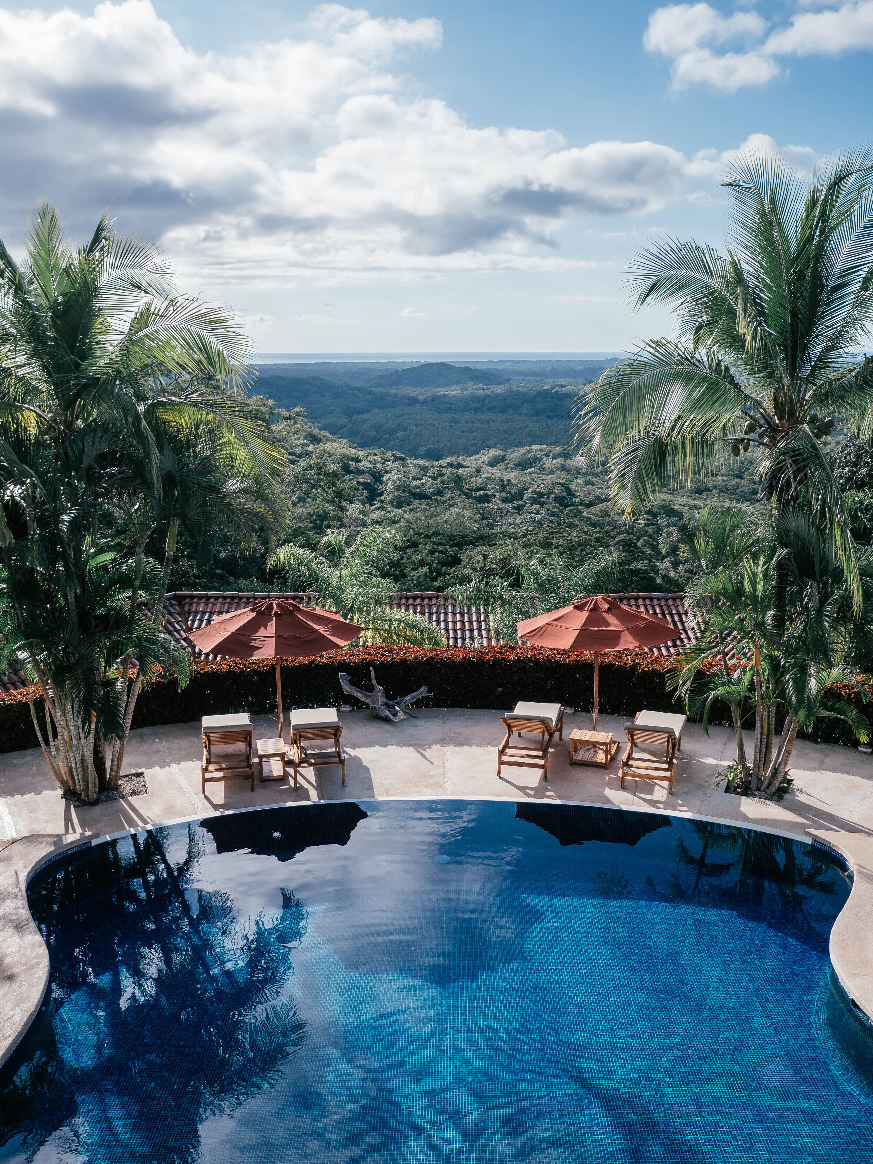 Una piscina con sillones de descanso y sombrillas, rodeada de palmeras y vistas al paisaje.