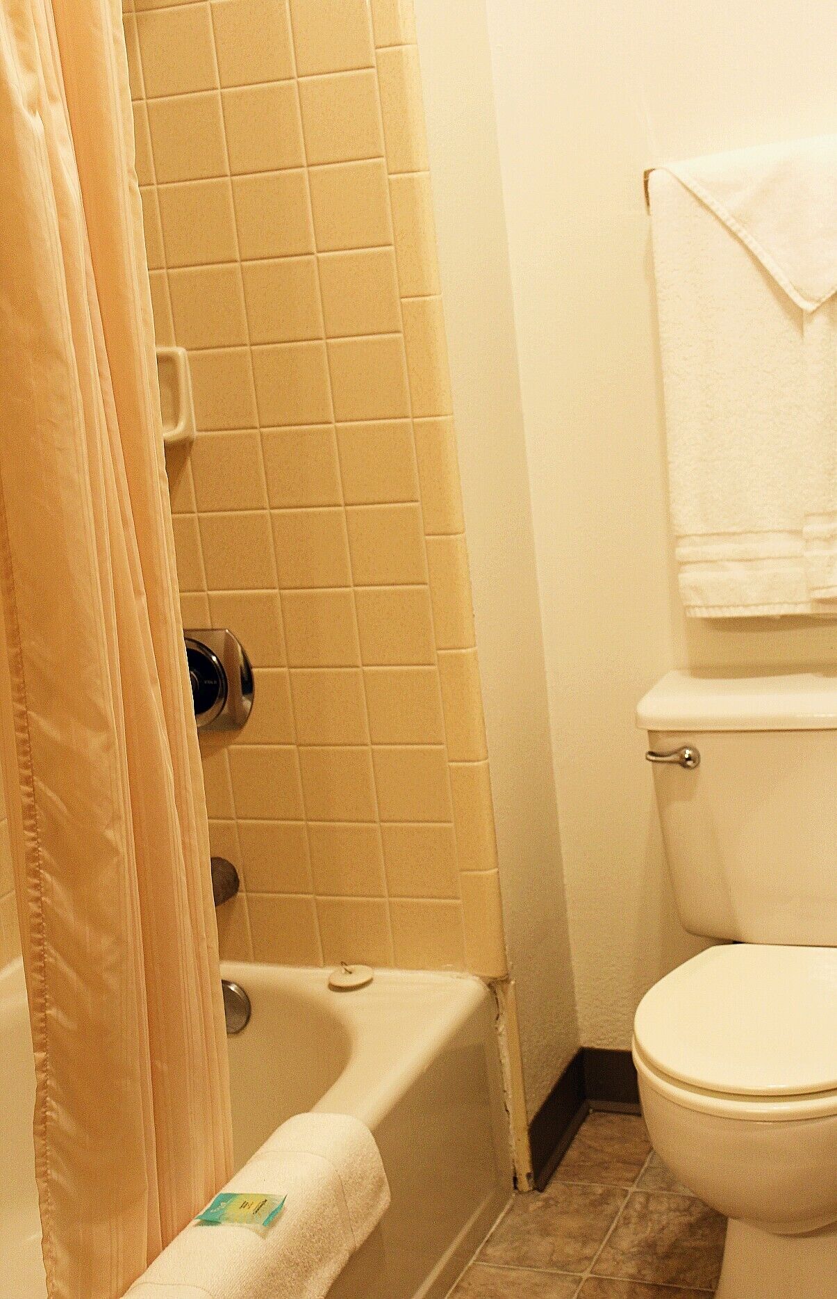 Une salle de bain avec une baignoire, des toilettes et un porte-serviettes.