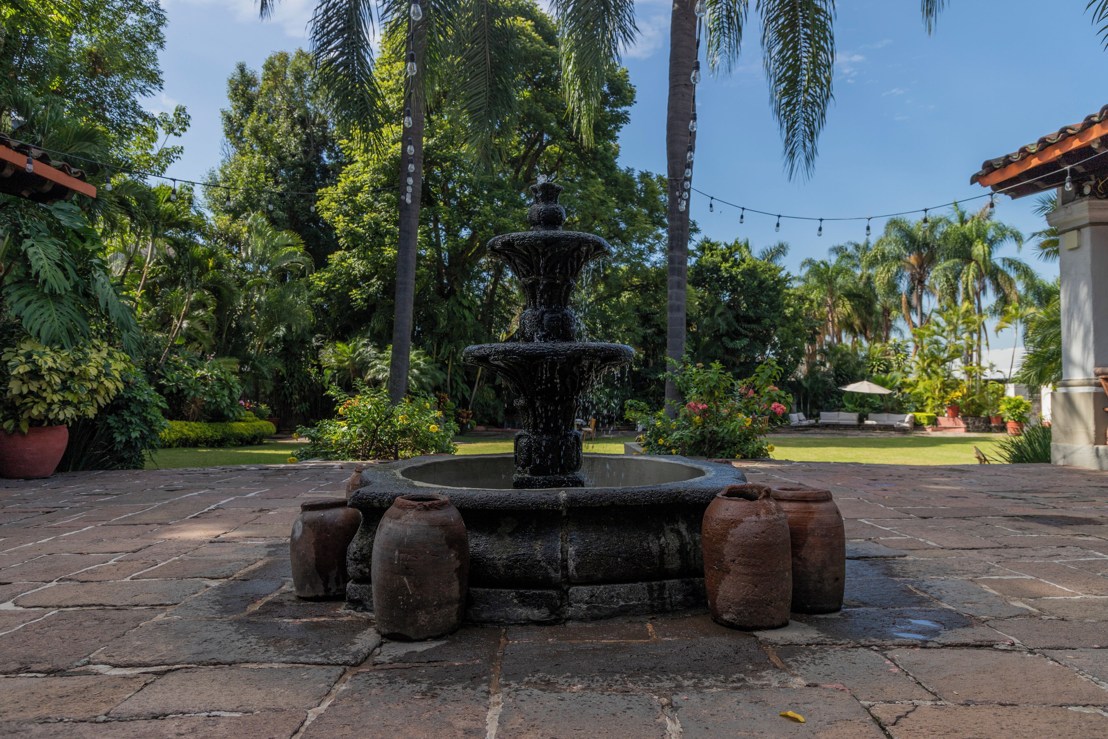 Phục vụ bữa sáng, bữa trưa và bữa tối 