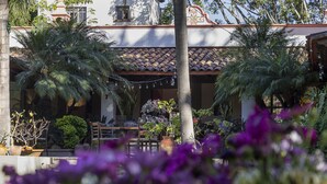 A courtyard with a tiled roof, potted plants, and a string of lights. - Hotel Boutique Casa de Campo (Cuernavaca)