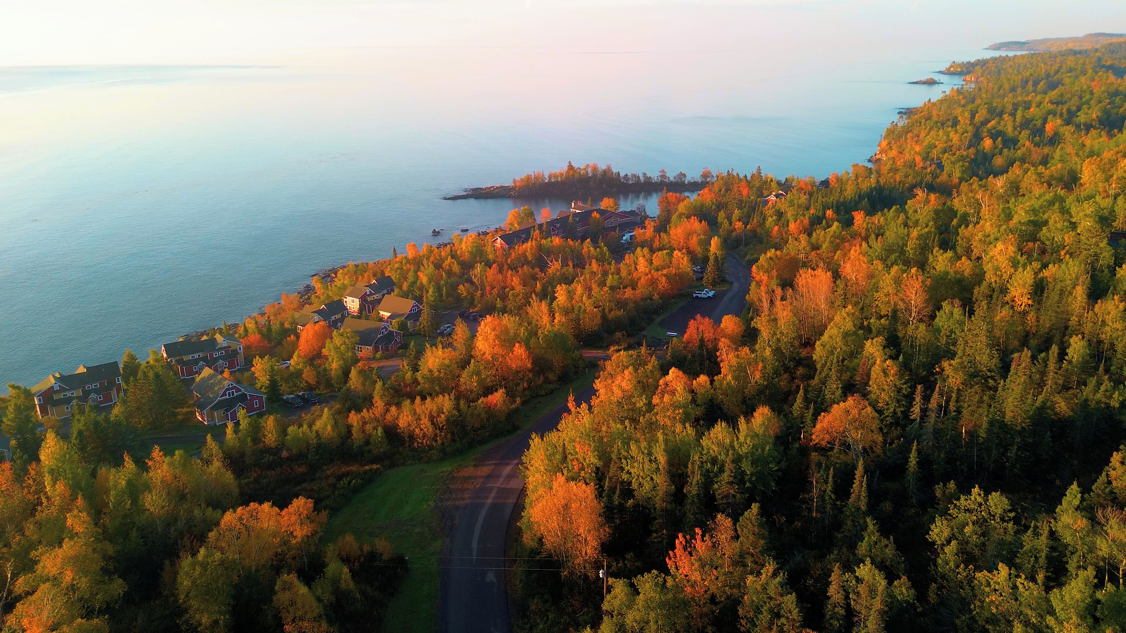A coastal residential area with houses surrounded by dense forest, a road, and a body of water.