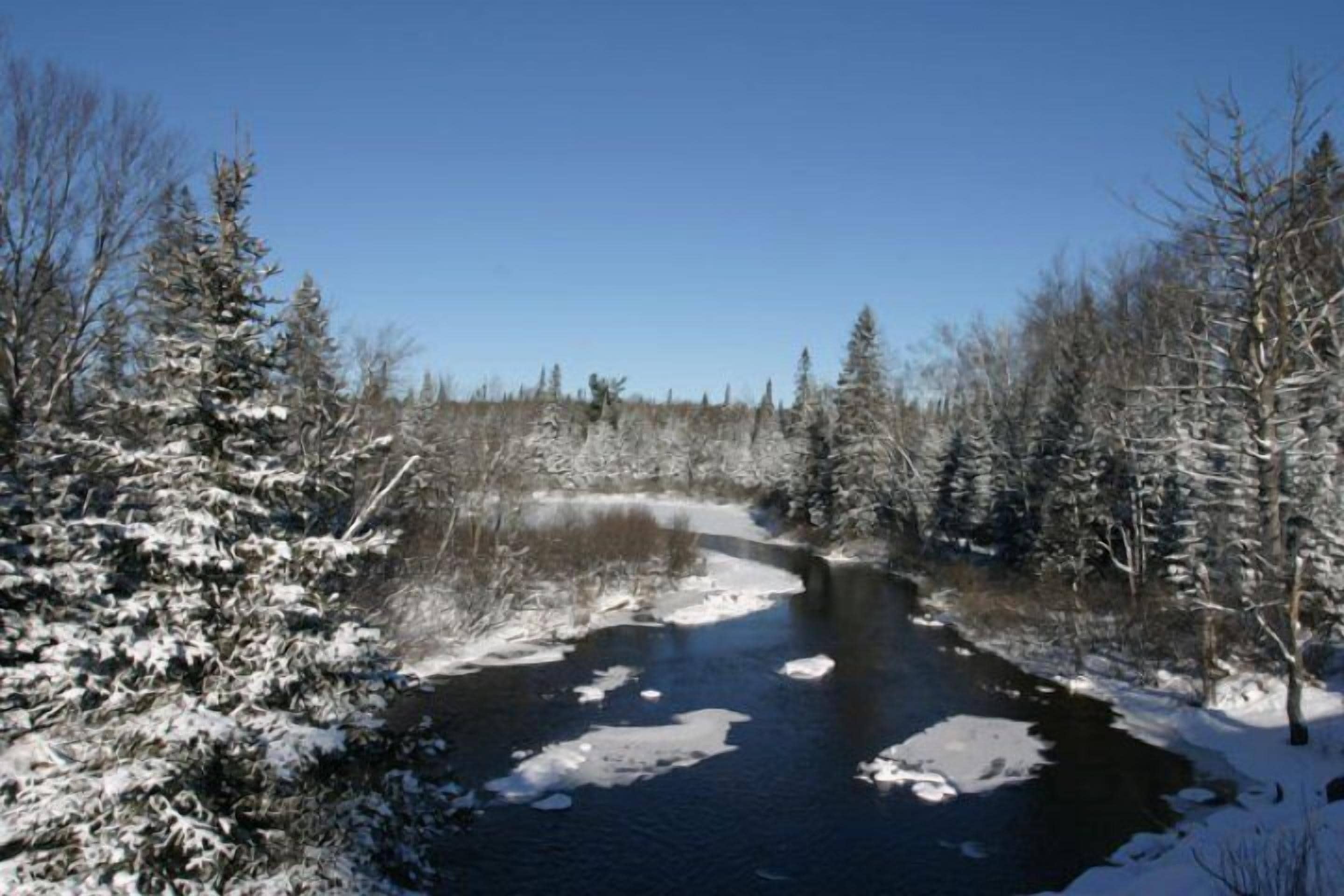 Un río rodeado de árboles cubiertos de nieve.