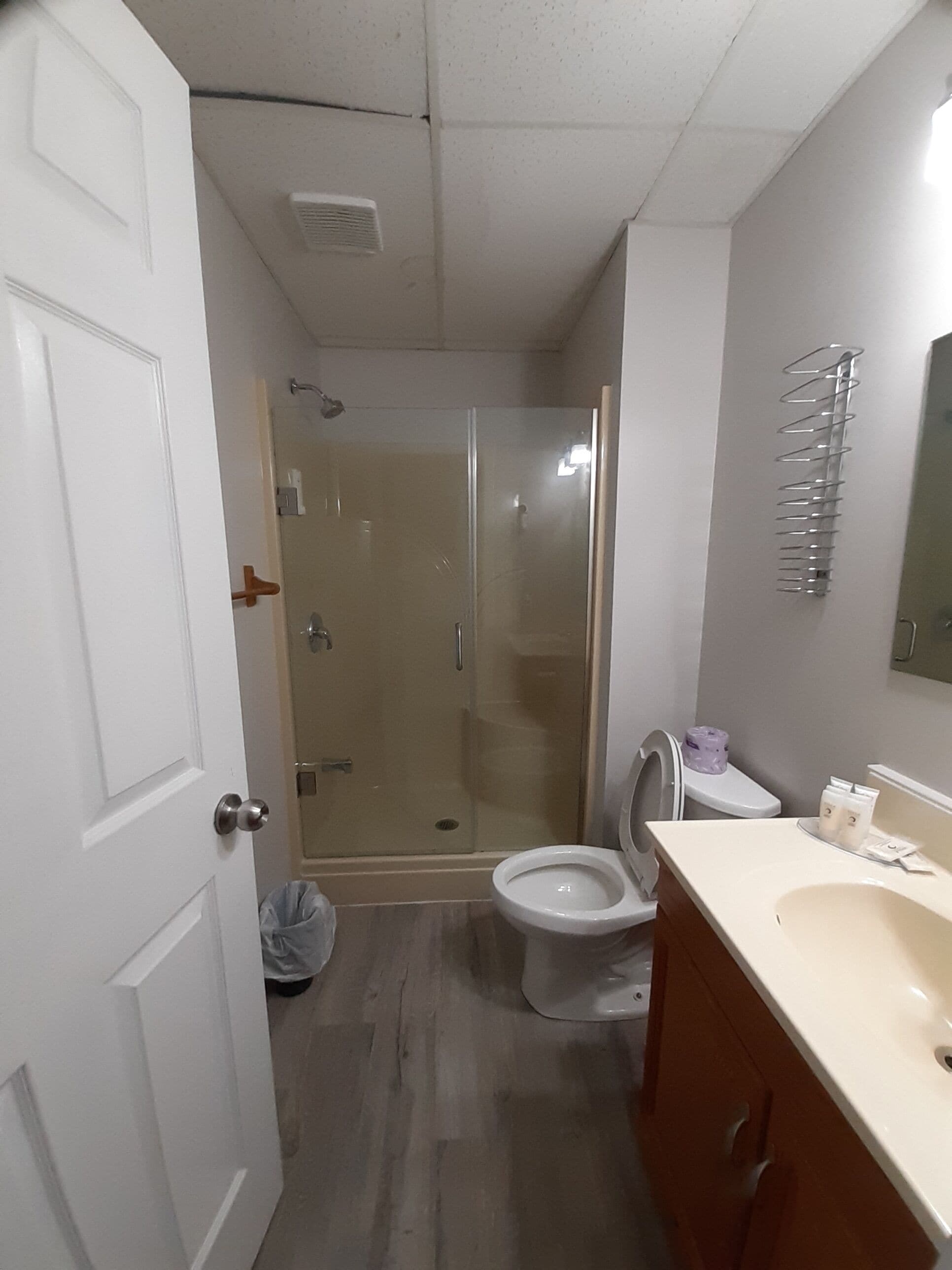 Un baño con ducha, inodoro y lavabo.