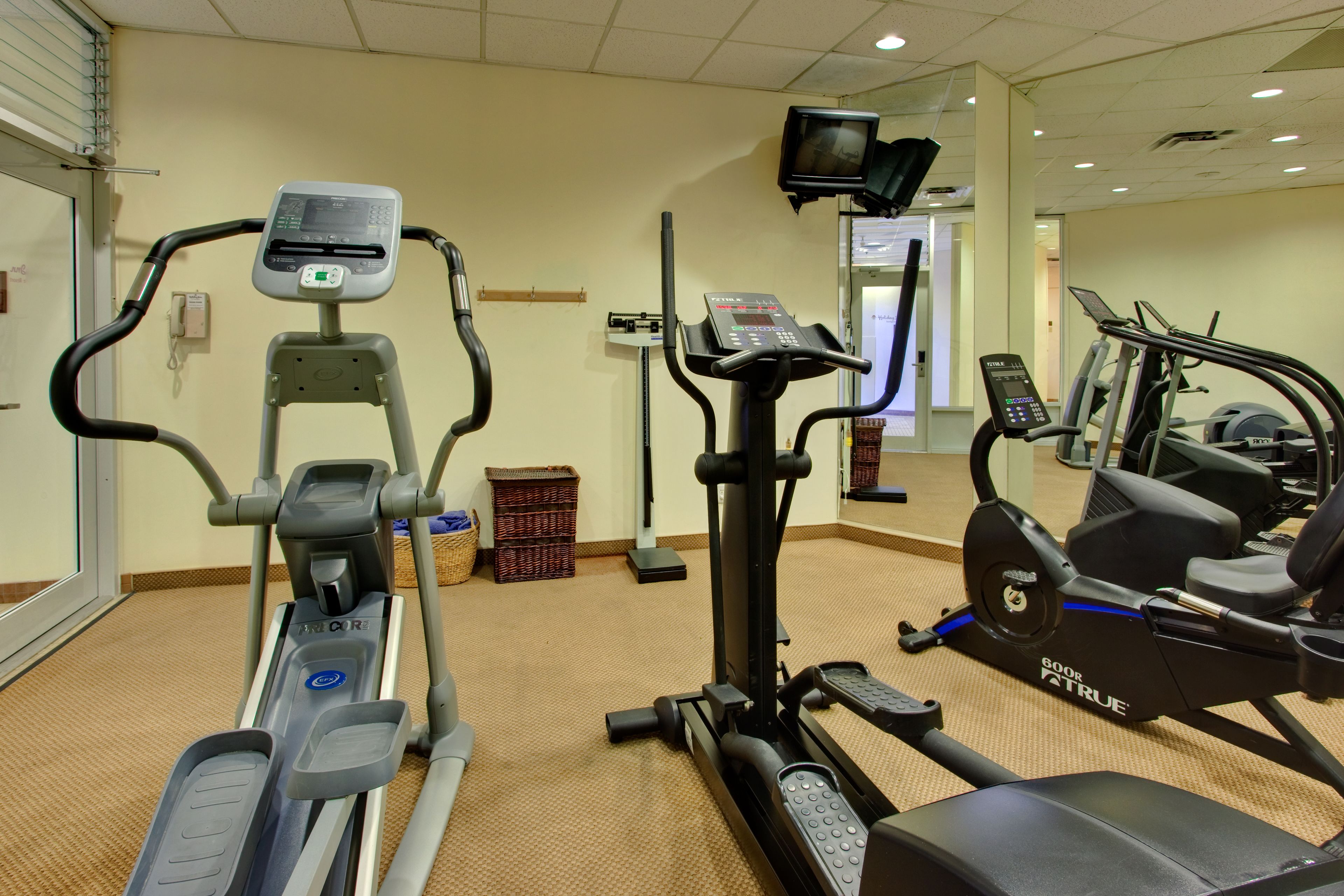 A gym with treadmills, elliptical machines, and a stationary bike.