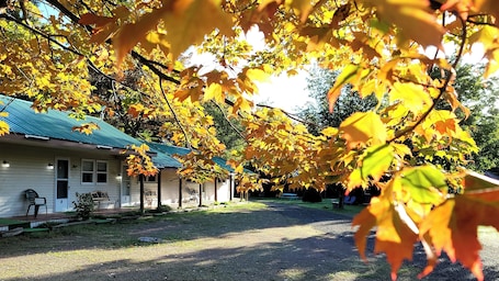 Basic szoba, 1 queen (nagymĂ©retƱ) franciaĂĄgy, nemdohĂĄnyzĂł, hƱtĆszekrĂ©ny Ă©s mikrohullĂĄmĂș sĂŒtĆ | KilĂĄtĂĄs a szobĂĄbĂłl