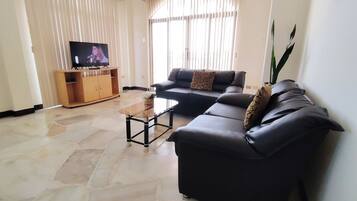 Flat-screen TV