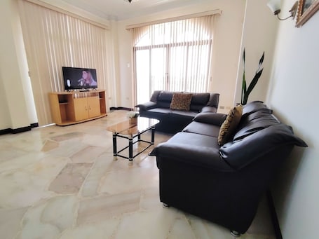 Televisión de pantalla plana