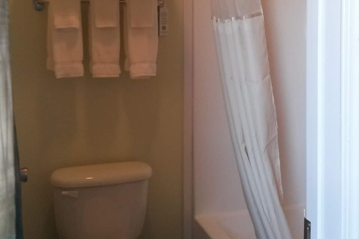 standard room | premium bedding, pillow-top beds, blackout curtains, iron/ironing board