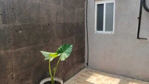 A potted plant in a corner with a concrete wall and a window. - Unidades Privadas con AC-TV-WiFi y Estacionamiento en Centro de MTY (Monterrey)