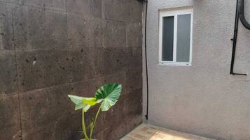 Standard Room, 2 Double Beds, Patio | Terrace/patio