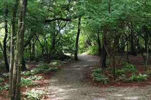 Property grounds - Kirkwood Inn (Lebanon)
