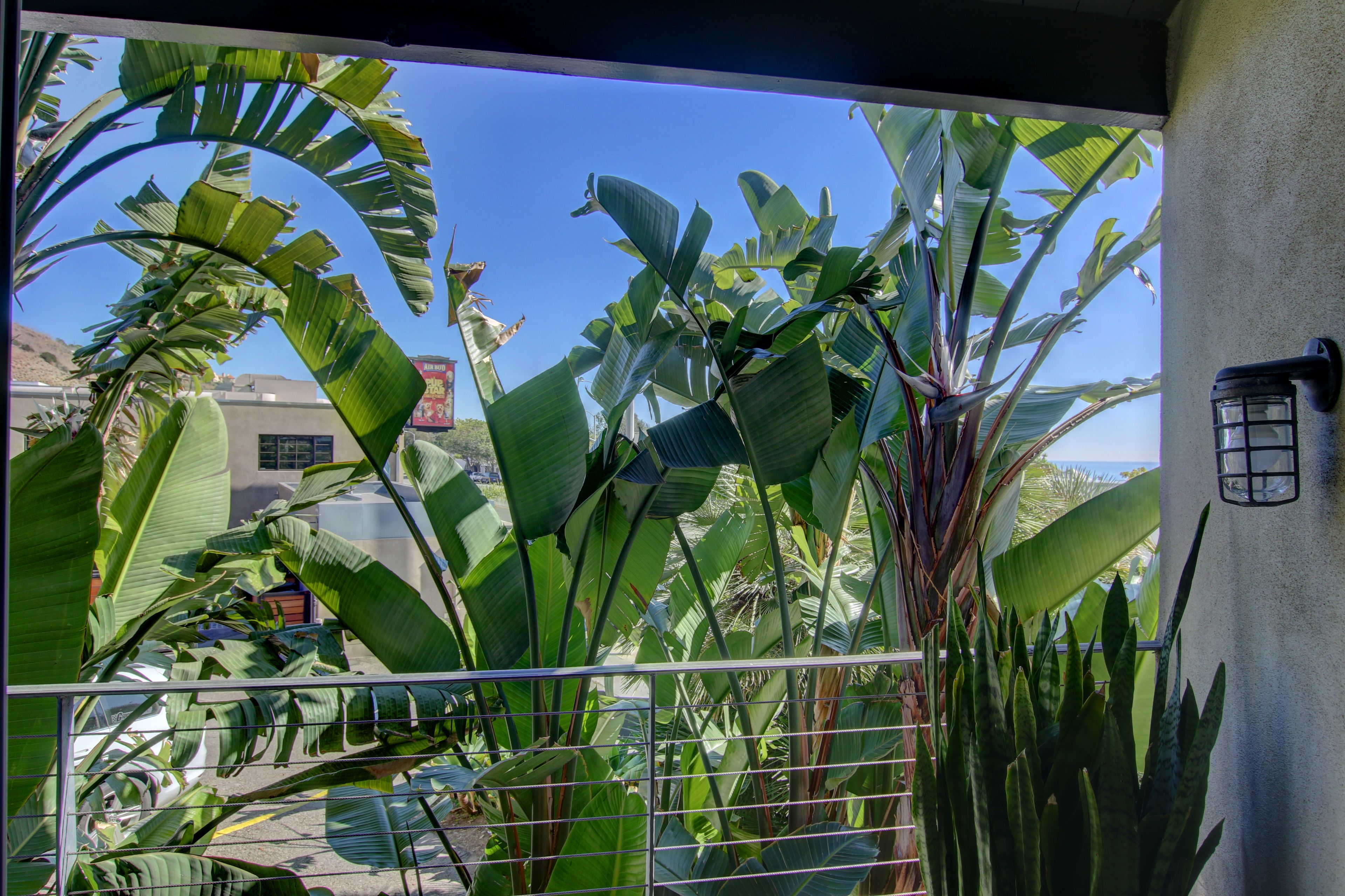 Vue depuis le balcon