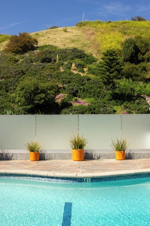 A swimming pool with a clear blue water surface, surrounded by a low concrete deck. In the background, there is a grassy hill with various green shrubs and a few pink flowers. - The Malibu Motel (Malibu)