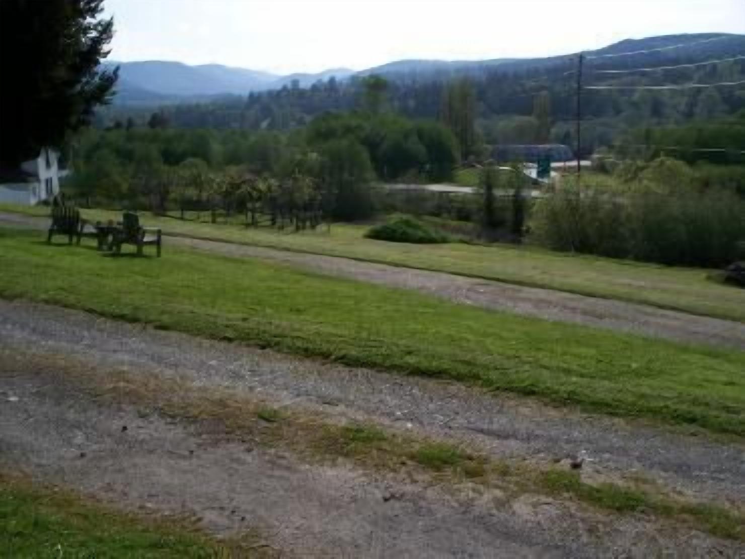 Paesaggio rurale con un sentiero sterrato, zone erbose e una filare di alberi.