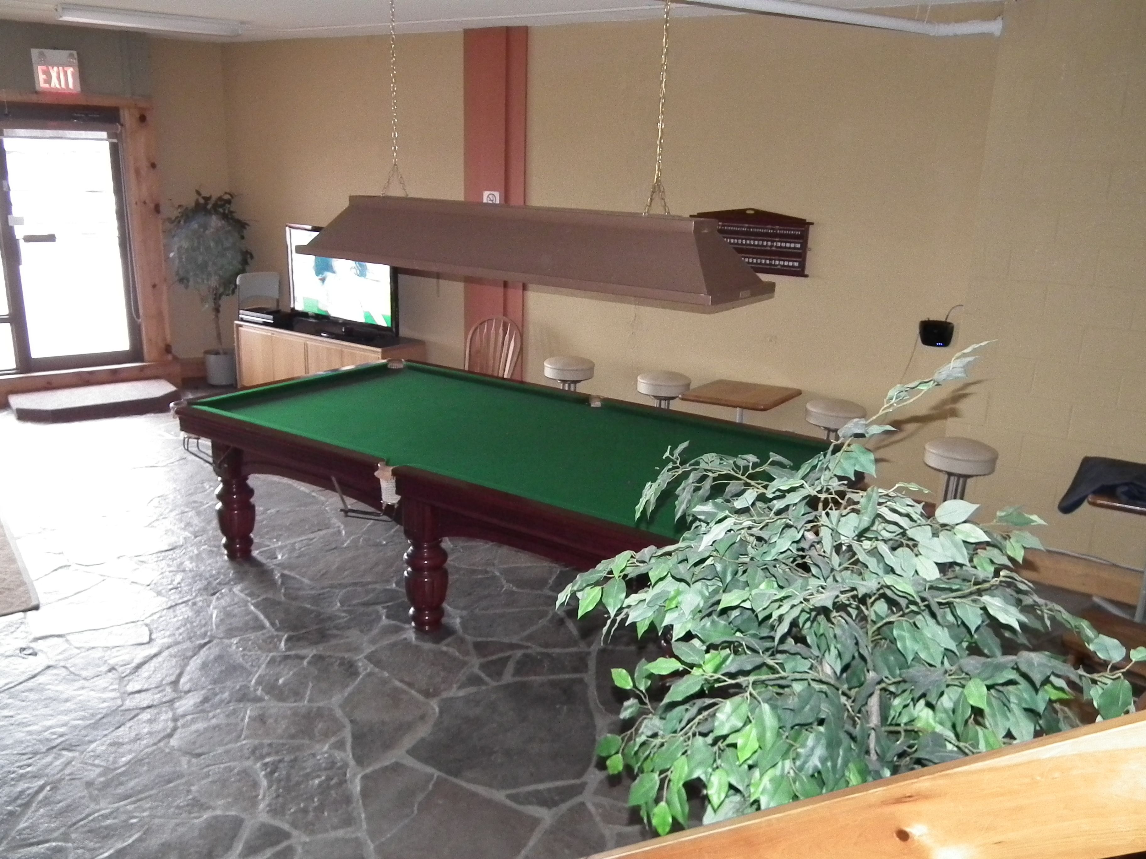 Une table de billard avec un luminaire suspendu au-dessus, une plante en pot et un téléviseur à l’arrière-plan.