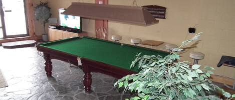 Une table de billard avec un luminaire suspendu au-dessus, une plante en pot et un téléviseur à l’arrière-plan.
