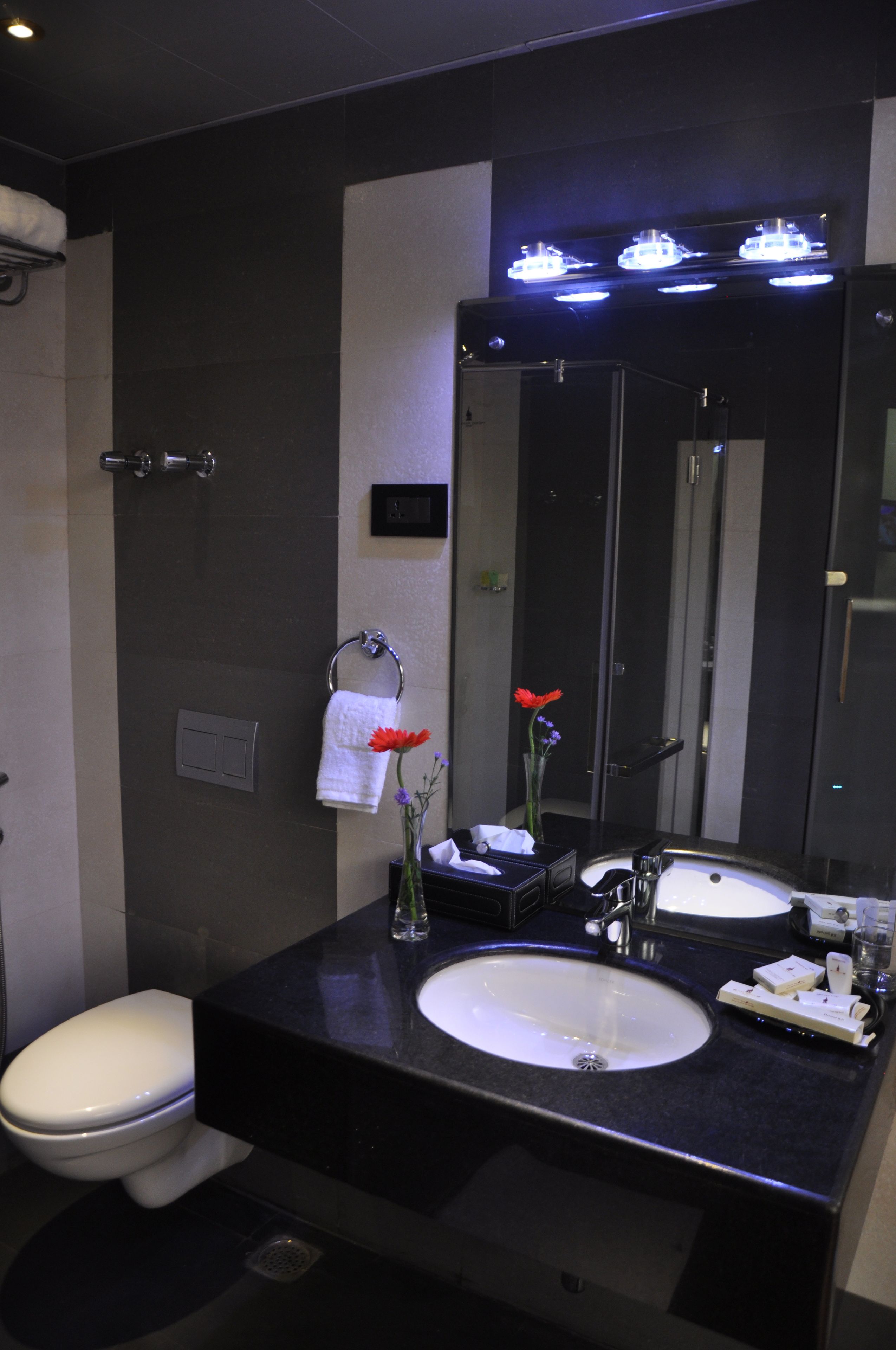 Foto - Park Avenue Hotel Nungambakkam