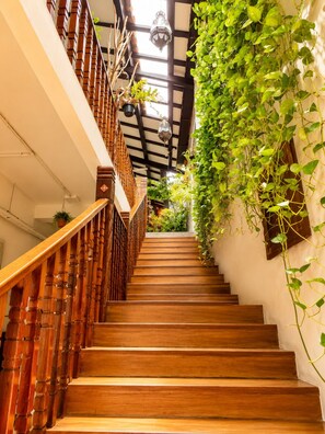 Interior - Palm Mansion Boutique Suites (George Town)