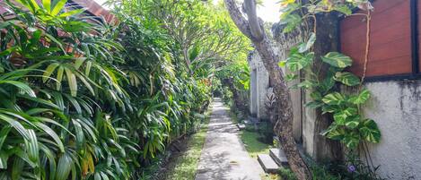A narrow concrete pathway flanked by lush green foliage and a white wall with a dark wooden fence.