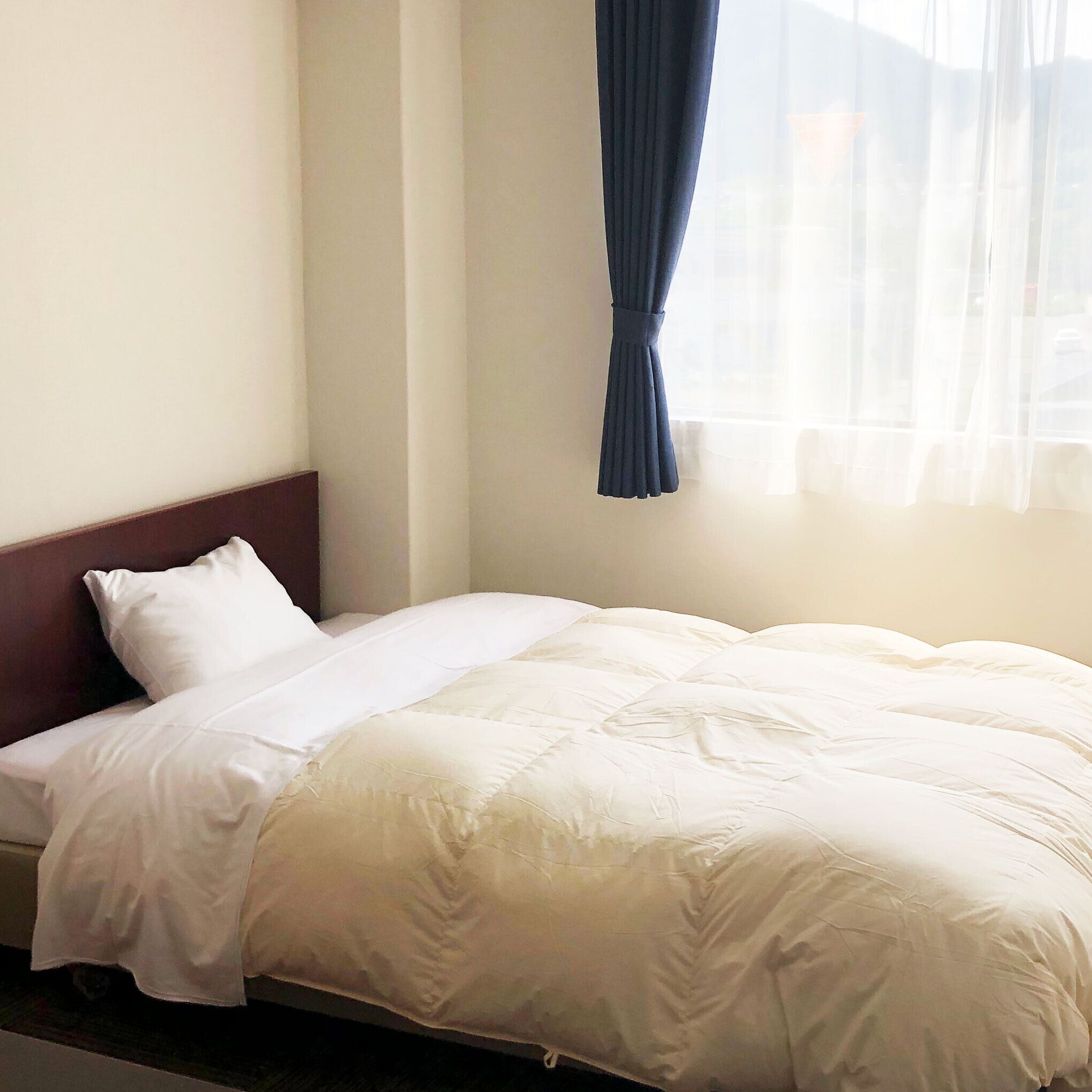 Down comforters, WiFi (free)