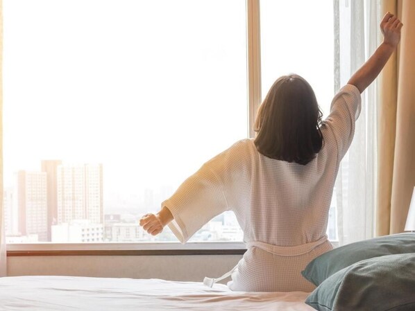 Couette en duvet d'oie, Wi-Fi gratuit