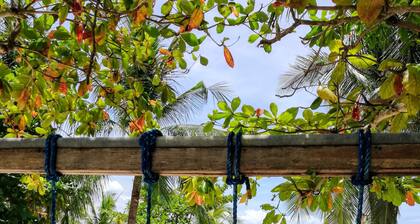 Evolution Dive and Beach Resort