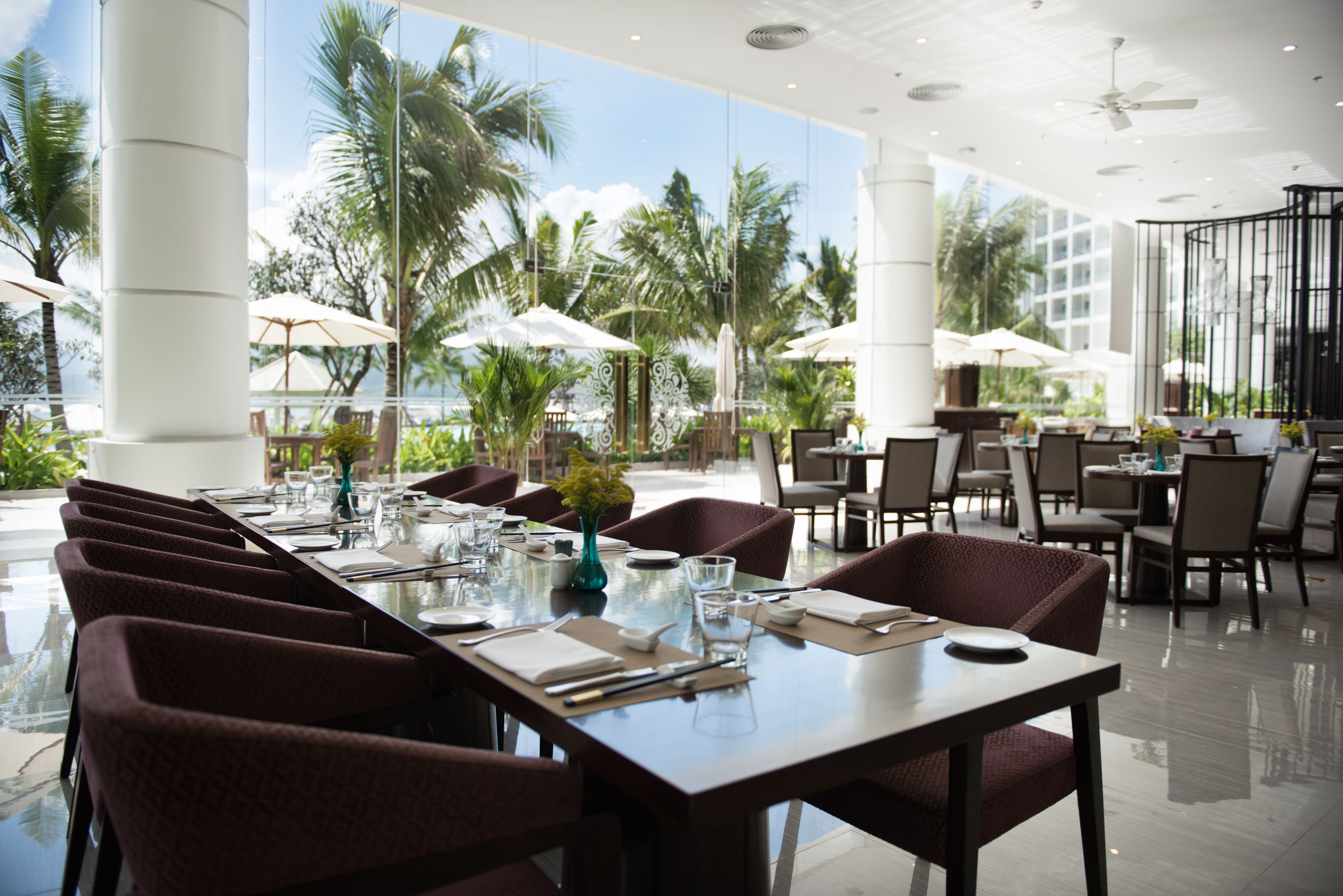 Un comedor amplio e interior con varias mesas y sillas, ventanas grandes y vistas a palmeras.