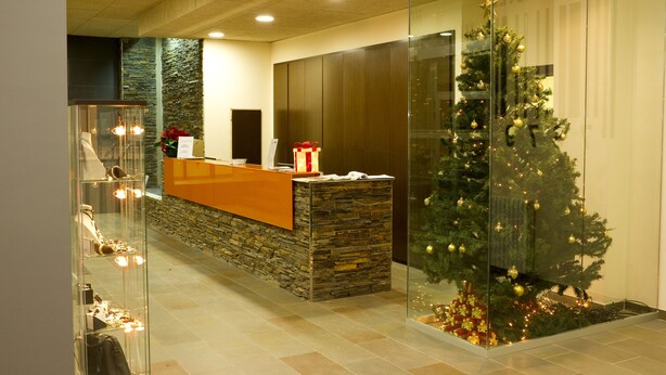 Reception - Hotel Solana (Arinsal)