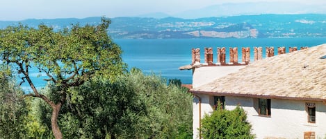 Lake view