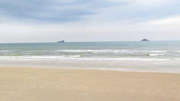 Vista desde la propiedad